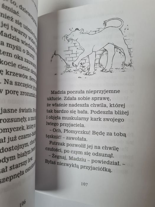 Magiczny kotek - Sue Bentley. Książeczka