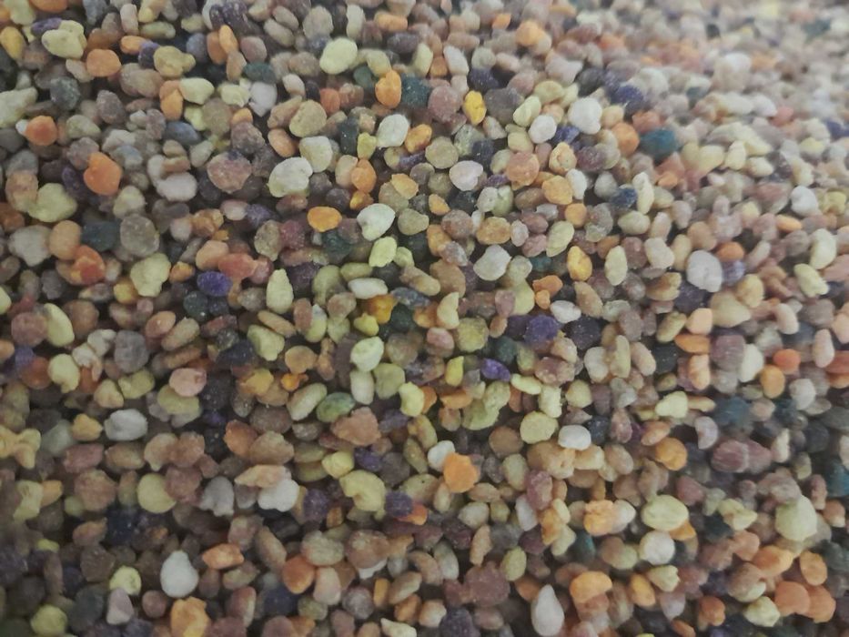 pyłek świeży pszczeli kwiatowy matki roje ule odkłady