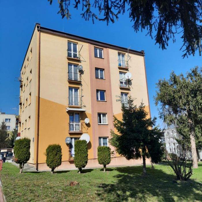 Mieszkanie do wynajecia