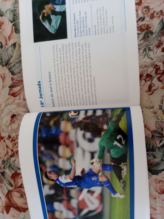 Porto campeao 2006 2007
