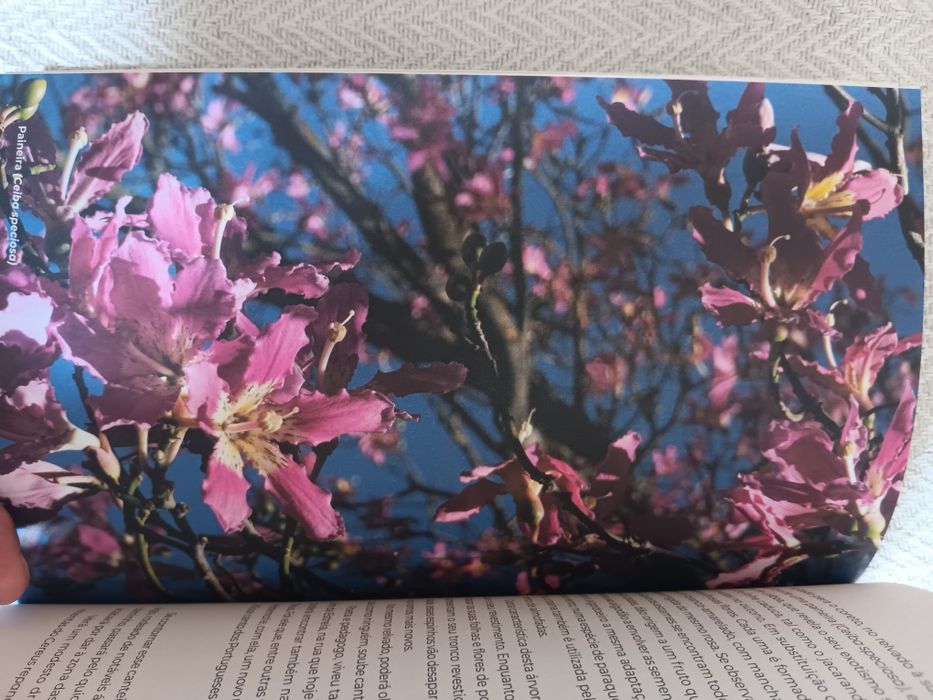 Ivo Meco, Jardins de Lisboa