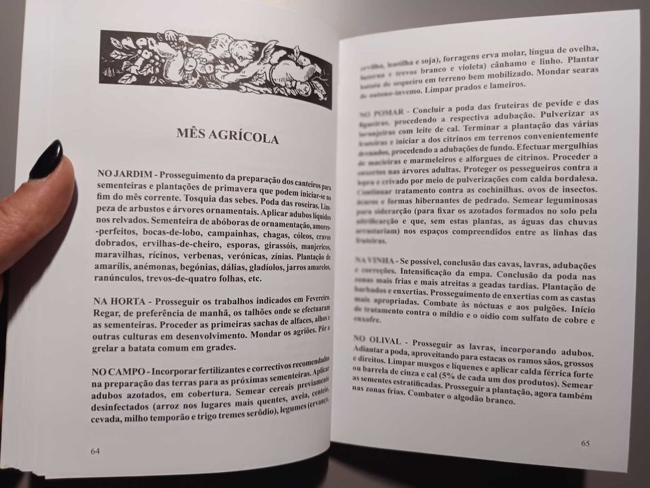 Almanaque de Santo António 2015