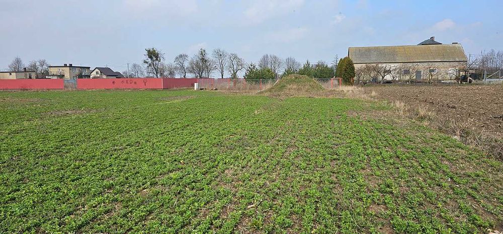 Sprzedam działkę budowlaną z wydanymi warunkami 3005m2 Głogowo 15min od Torunia