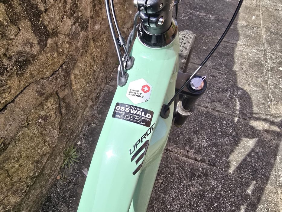 Bicicleta eletrica Flyer uproc 3