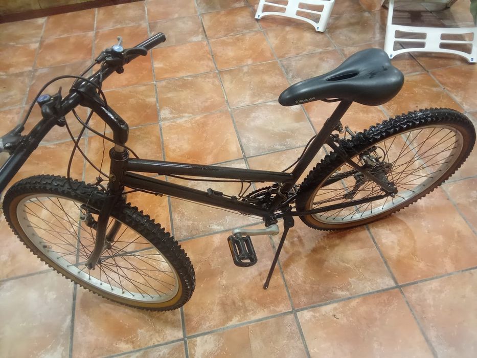 Bicicleta de Montanha Clássica roda 26