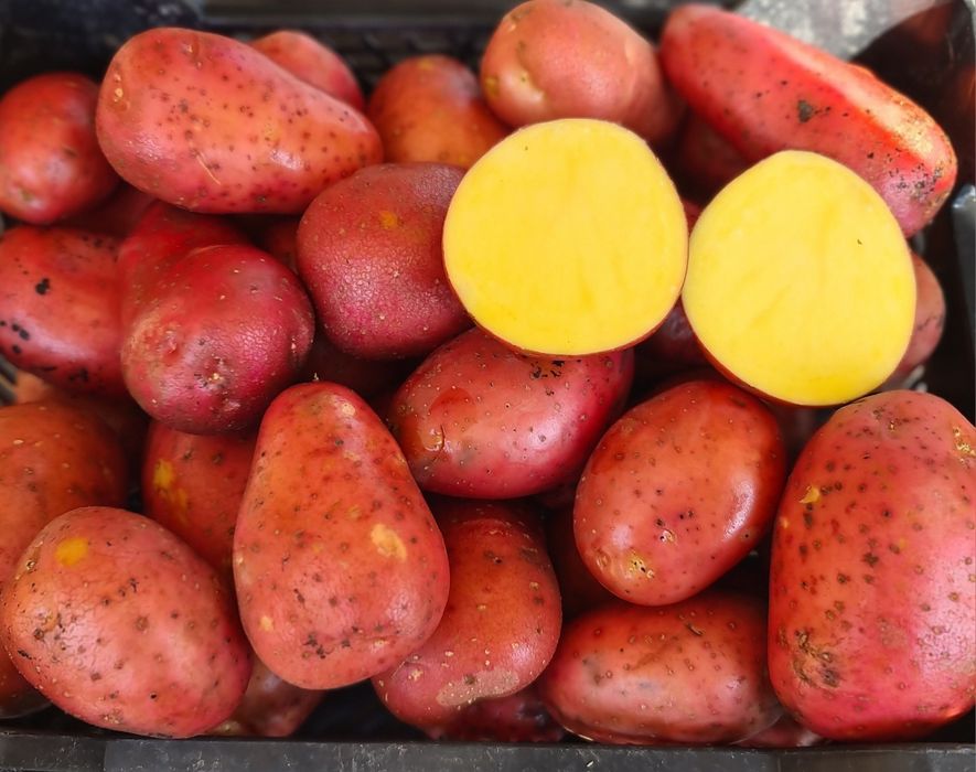 Zestaw warzyw 24kg z wysyłką bezpośrednio od rolnika