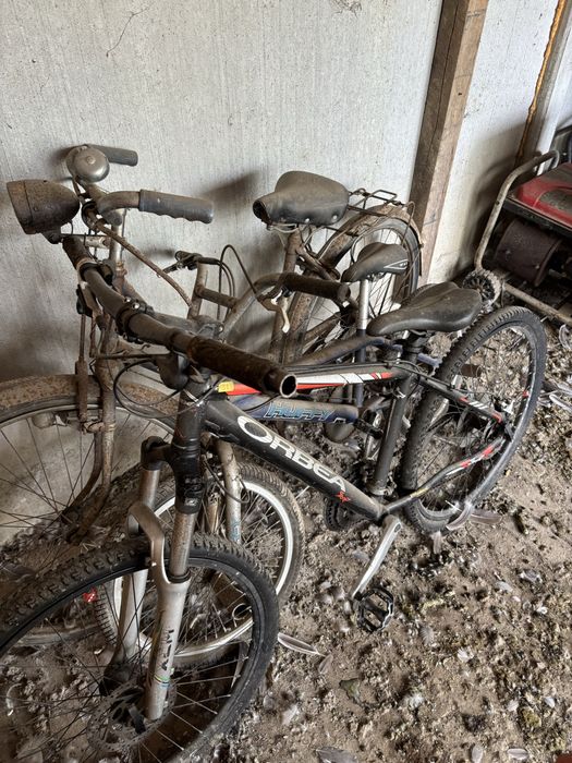 Bicicleta orbea usado