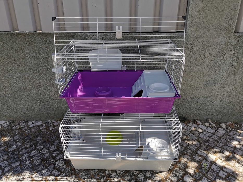 Coelhos anões bebés + gaiola nova + alimentação adequada