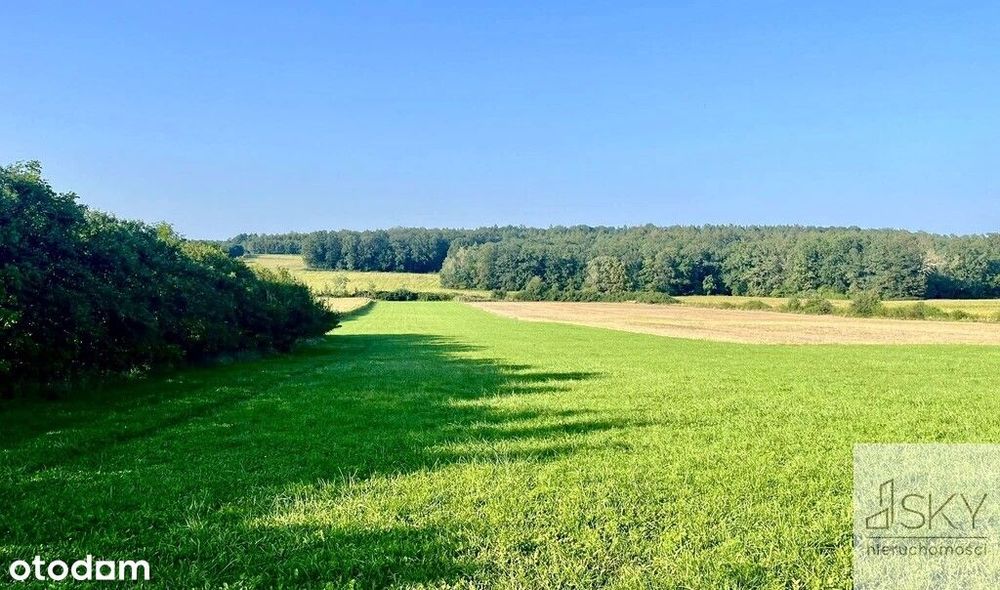 Działka budowlan 2640 m² – las, spokój, prywatność