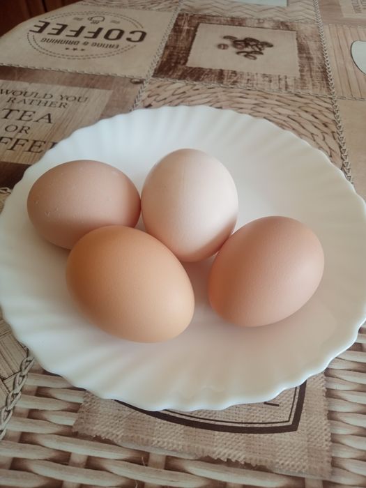 Wiejskie jajka po 1.20