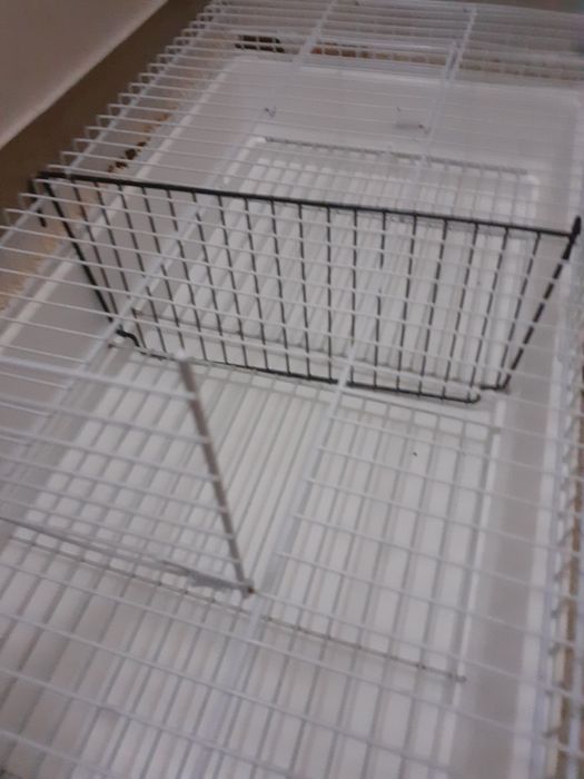 Gaiola transportadora dupla baixa