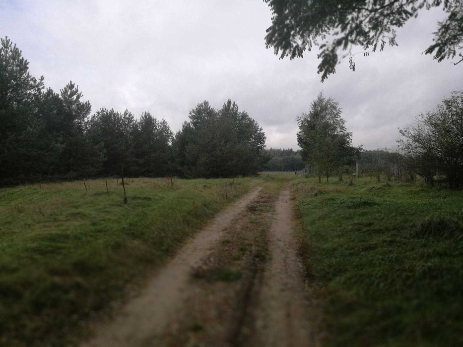 Sprzedam działkę budowlaną z WZ 19 arów – Jasień k. Staszowa - Widok 3