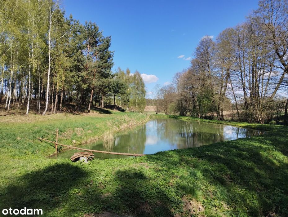 Dom, budynek gospodarczy, staw i las