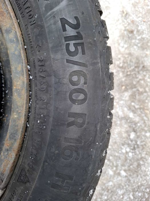 Continental Winter Contact TS870 215 60 R16