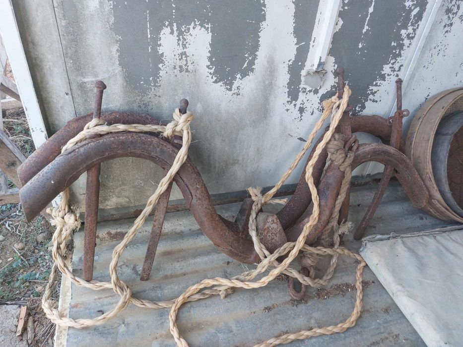 Lote de antiguidades