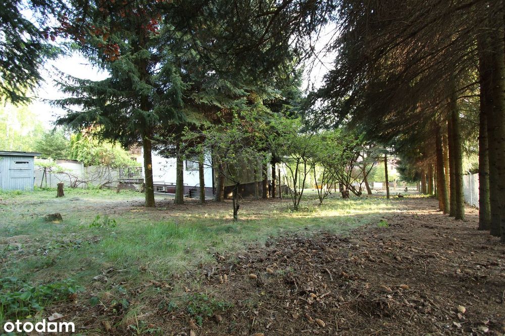 Działka 1333 m2 SUCHY LAS