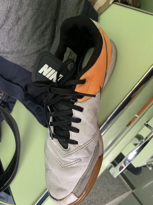 Сороканіжки оригінал