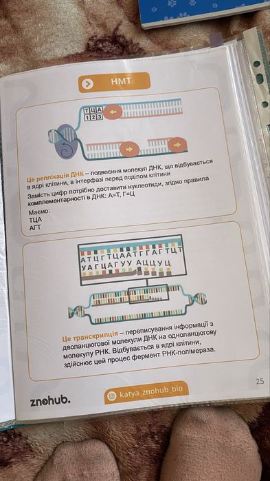 Конспект з біології нмт