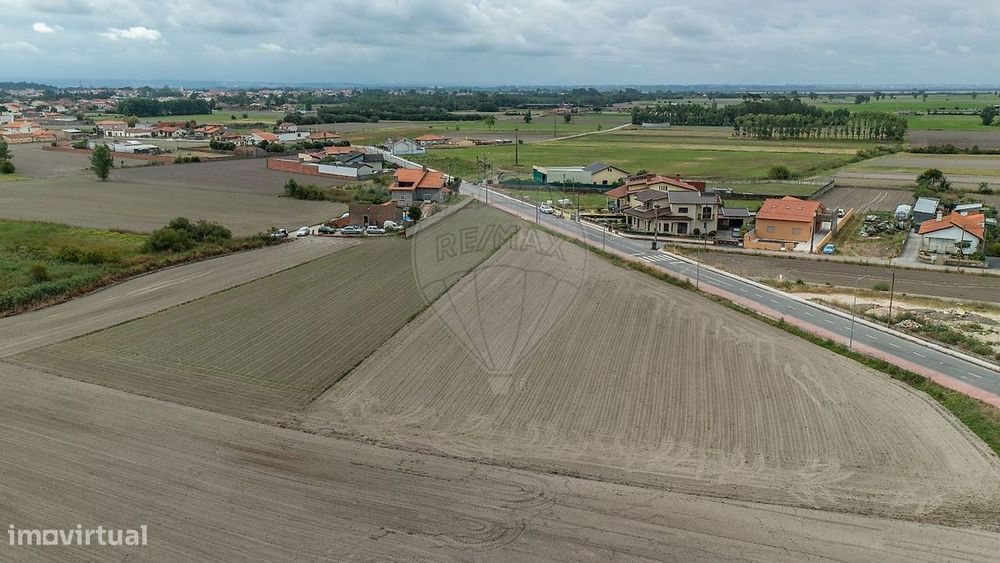 Terreno na Murtosa — Bunheiro, Aveiro