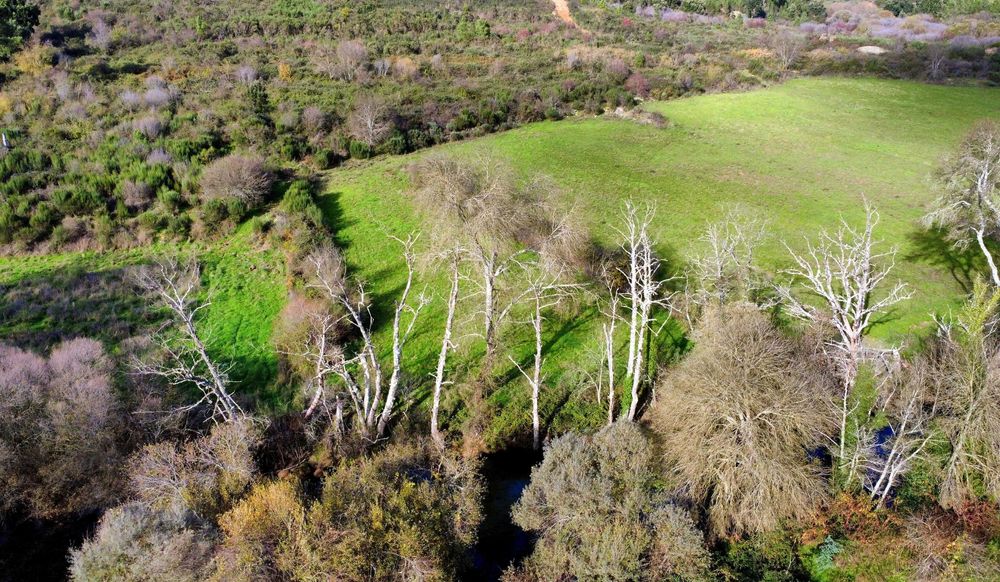 Terreno junto a Ribeira com água cristalina