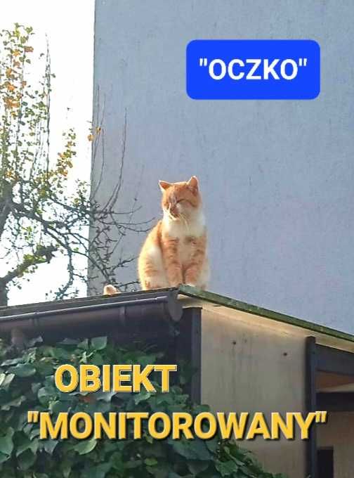 noclegi, pokoje do wynajęcia nad morzem, Grzybowo