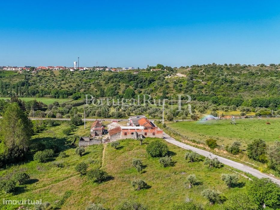 Quinta com 5 hectares e 800 m² de construção, Torres Novas