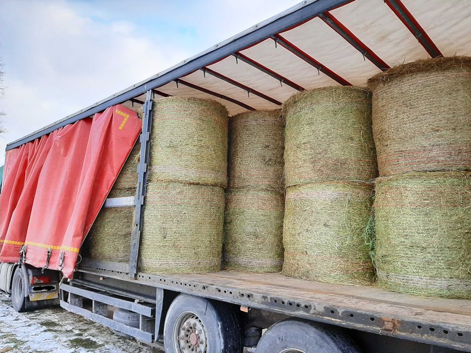 Siano i Sianokiszonka