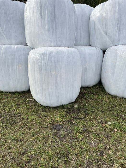 Sianokiszonka baloty bele siano
