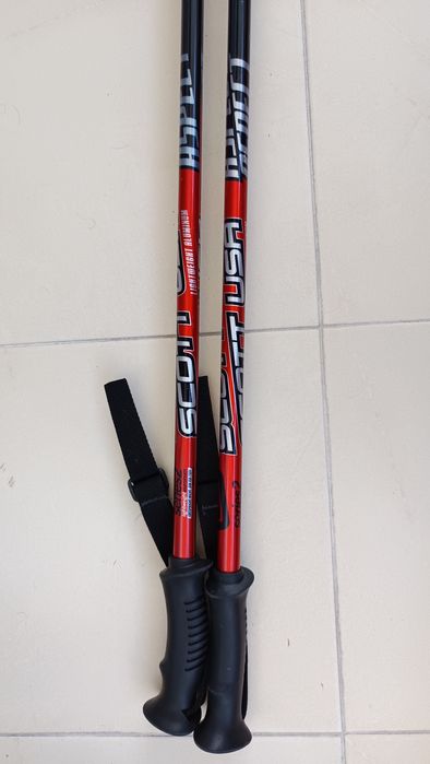 Bastões Ski Scott