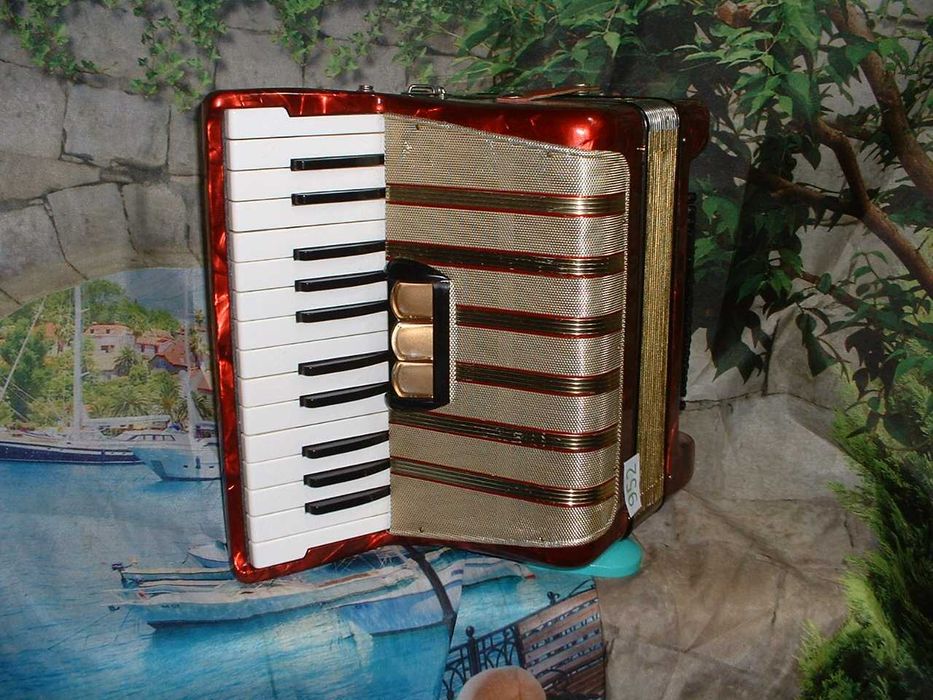 Promoção de Acordeões de concertinas