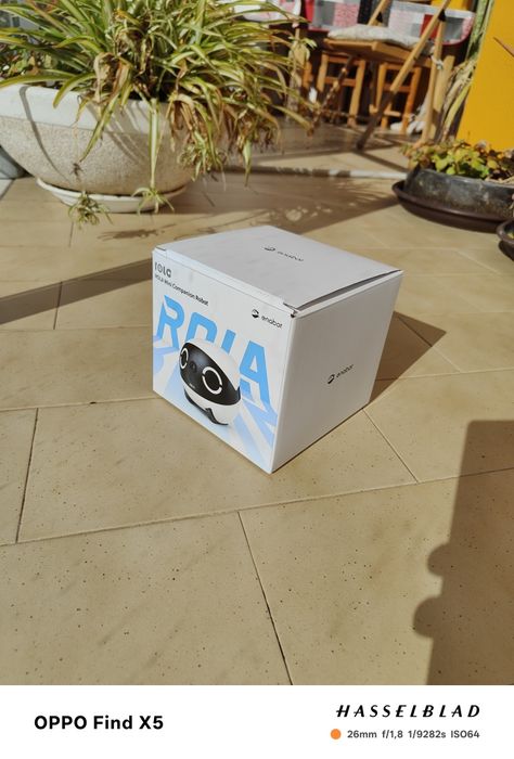 ROLA Mini Companion Robot