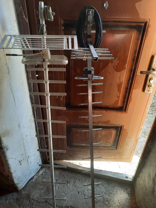 Антена дицемитрова.