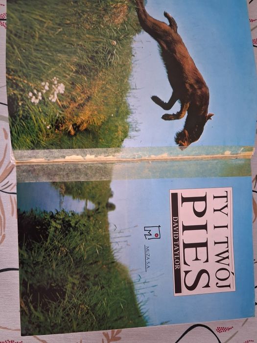Ty i twój pies+ Mądrzejsze niż myślisz. 2 podręczniki, szkolenie psow