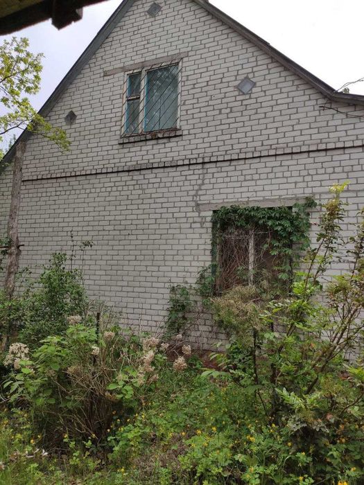 Будинок у с. Опеньки, Чернігівська область