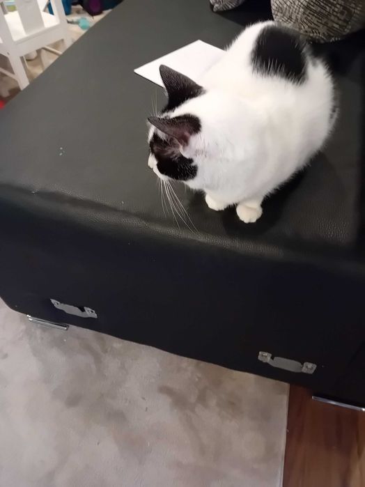 Sofá de 3 lugares com chaise longue