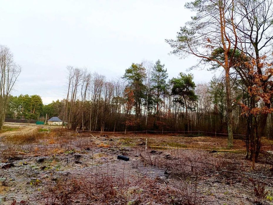 Земельна ділянка у с. Городилець.