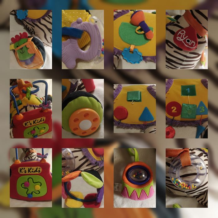 NOWA, Zebra interaktywna Rayan