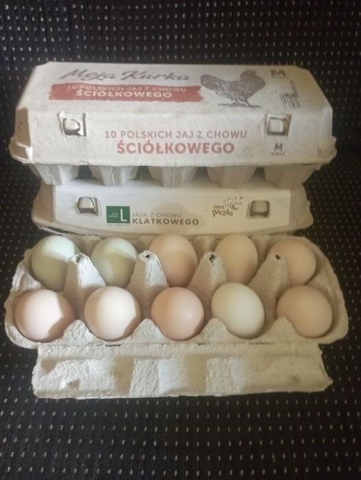 Jajka Wiejskie z wolnego wybiegu