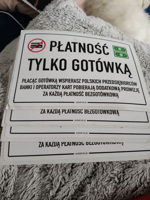 4 etykiety naklejki płatność tylko gotowką format A5