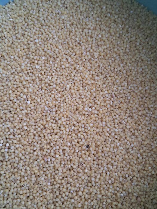 Kasza jaglana ekologiczna 2025