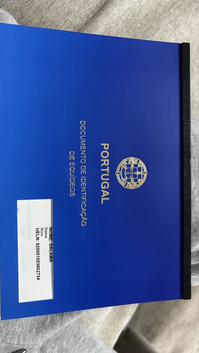 Egua lusitana  com livro azul