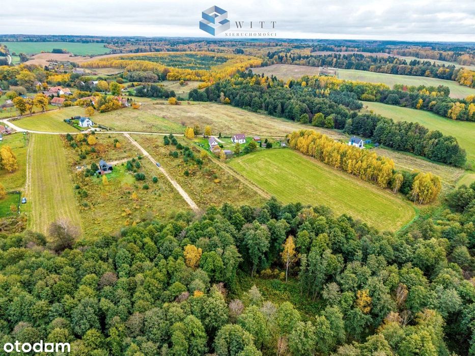3263 m² | WZ | Blisko jeziora Dąbrowa Wielka