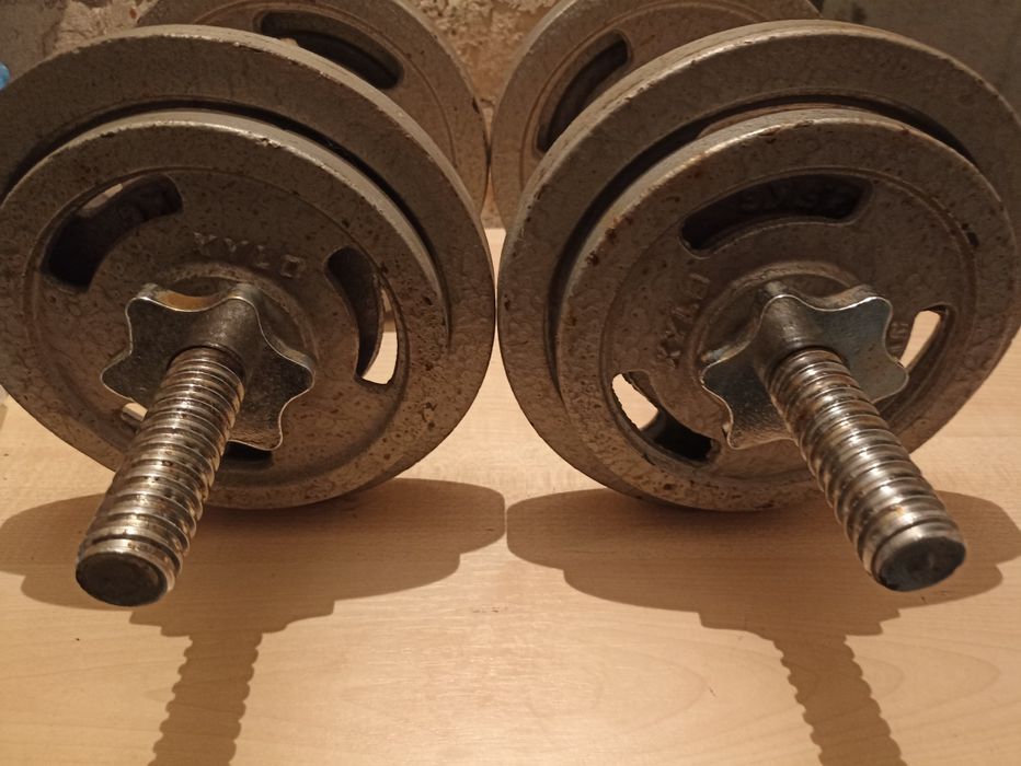Hantle żeliwne 2x10 kg