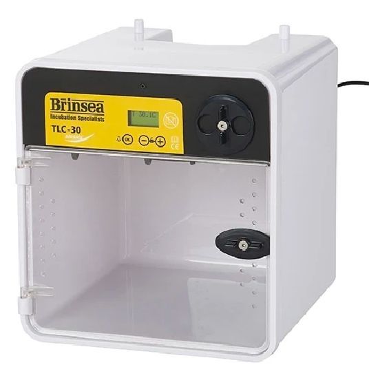 Incubadora para Aves - PORTES GRÁTIS!!