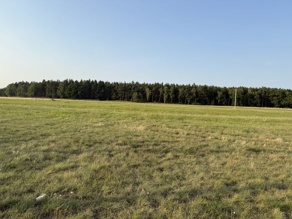 Zdjęcie 5