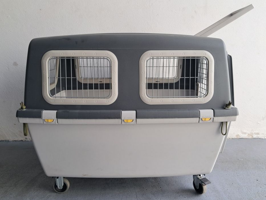 Transportadora Gulliver VI