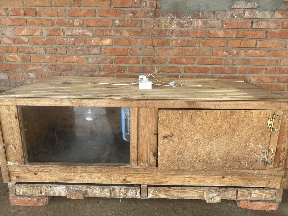 Брудер для курчат