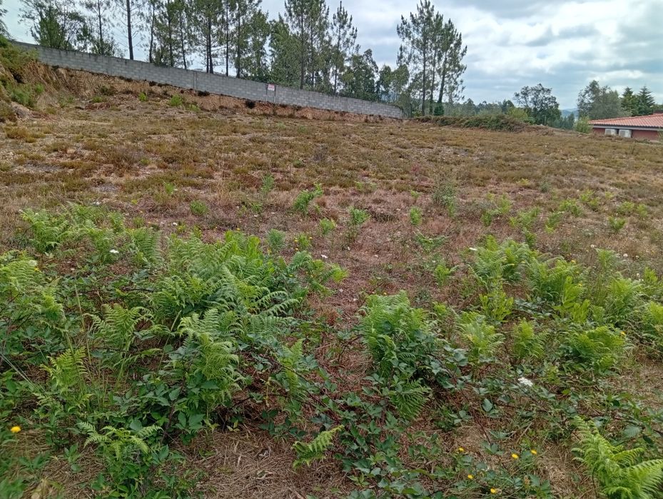 Terreno para construção em Recarei paredes praceta de Valvide