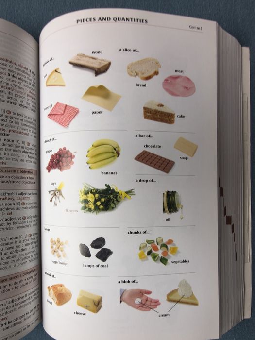 Cambridge learner's dictionary słownik angielsko polsk +CDi