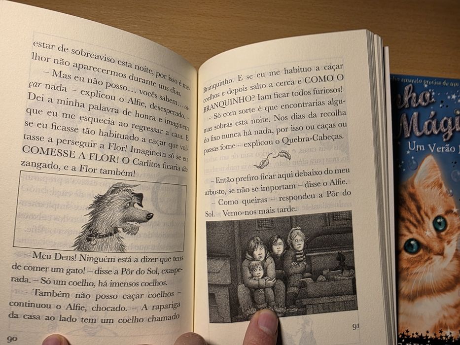 2 livros juvenis: Gatinho Mágico e Querido Alfie